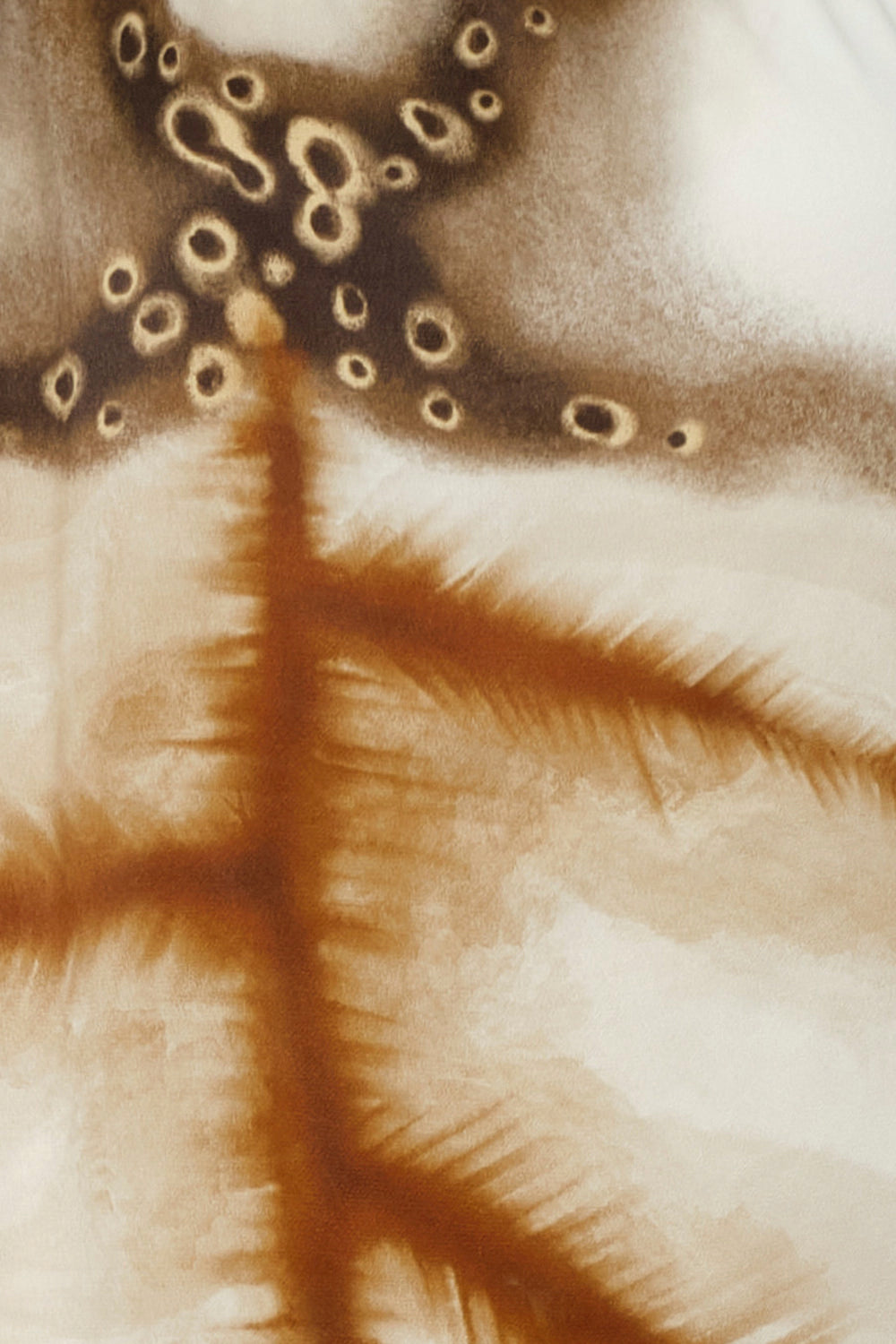 Nuevo vestido Selma en color marfil y moca